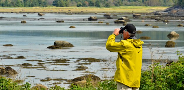 Man watching wildlife through binoculars